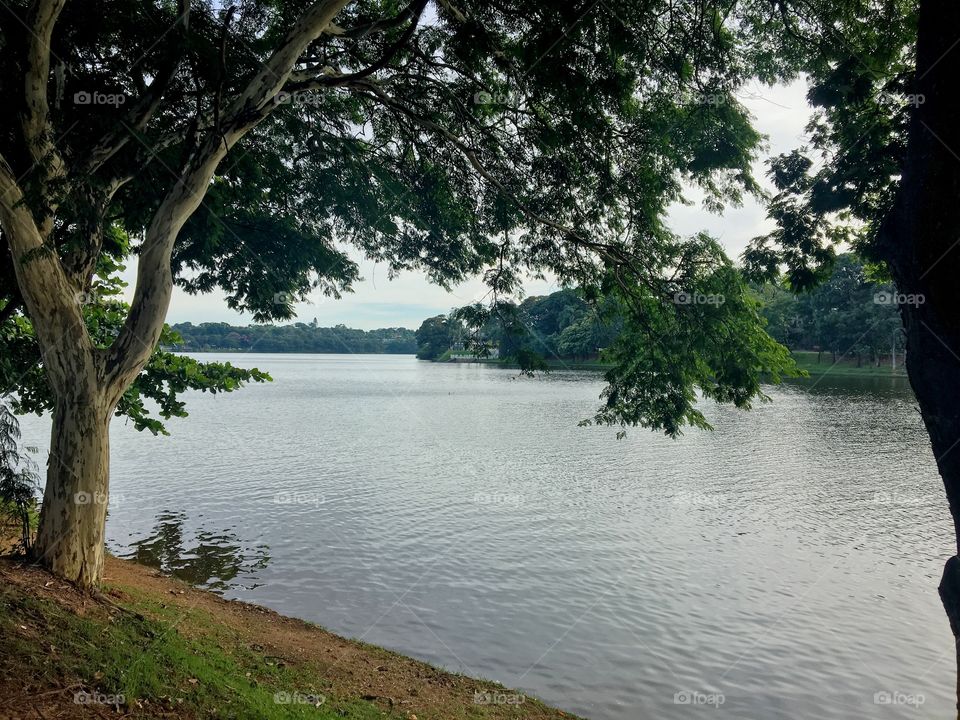 Large lake with hiking trail