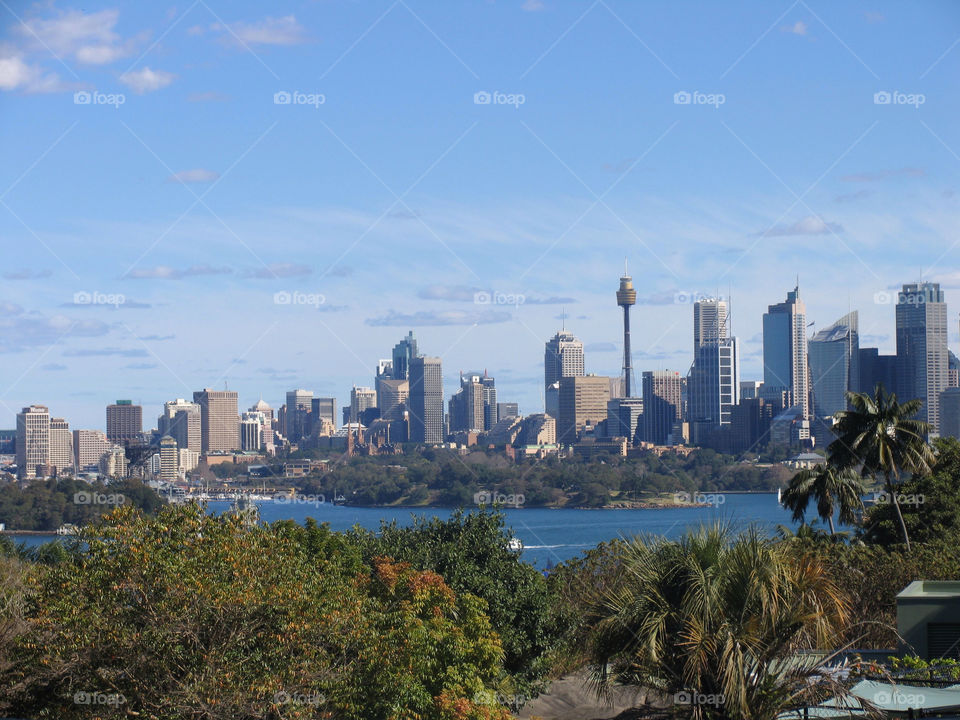 Sydney Harbour distant view