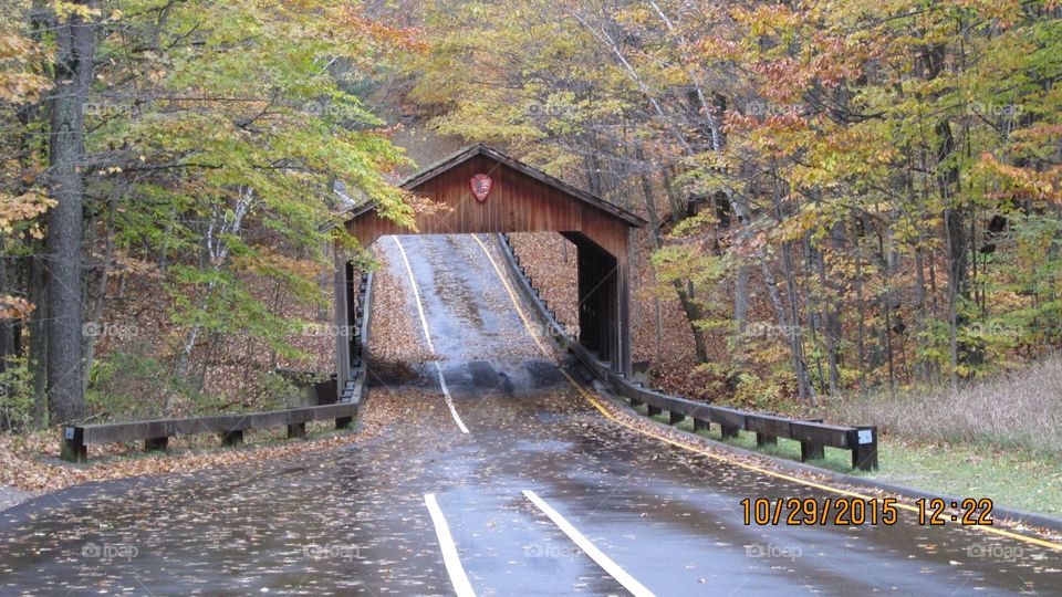 Northern Michigan 