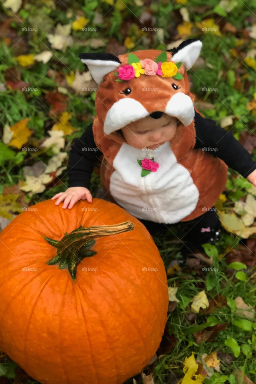 Luna’s first Halloween. 