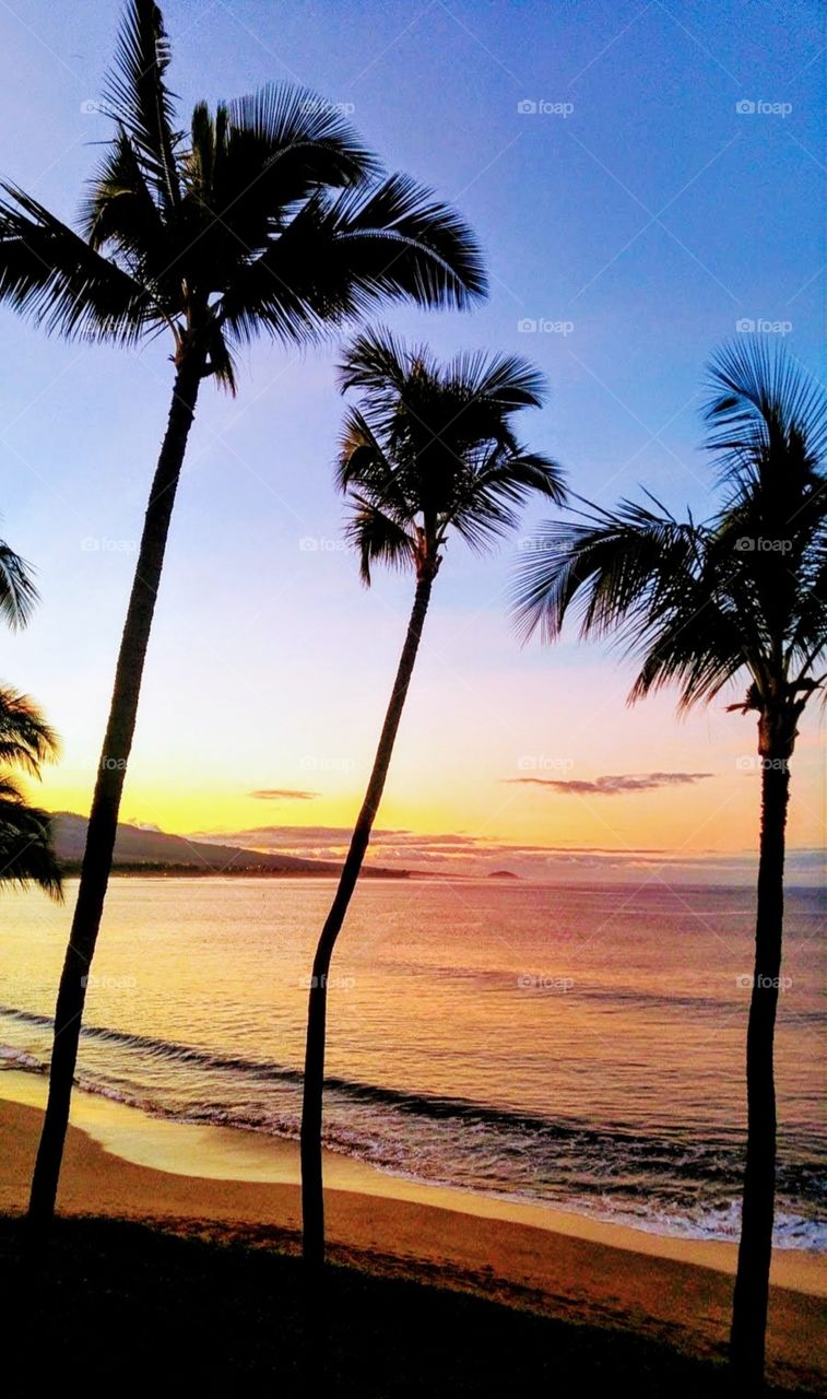 sunrise on the beach in Maui Hawaii