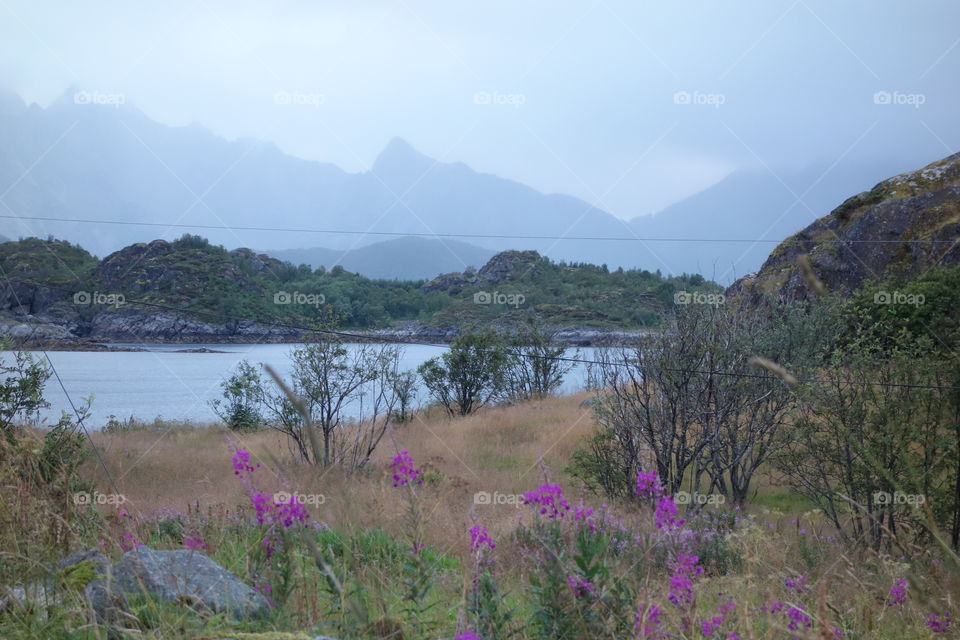 Lofoten Landscape, Norway