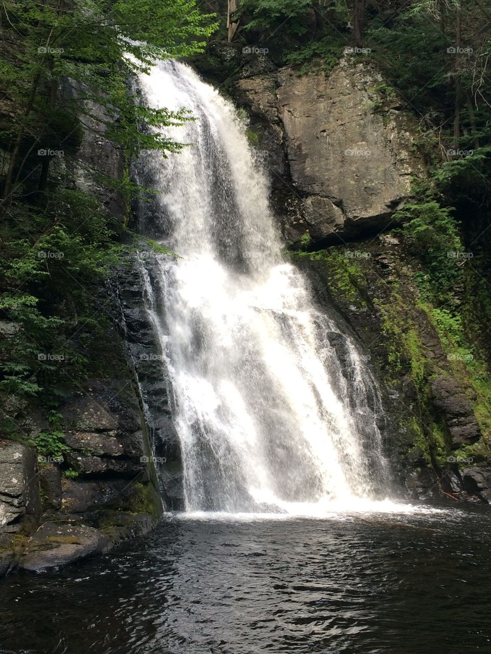 Bushkill Falls