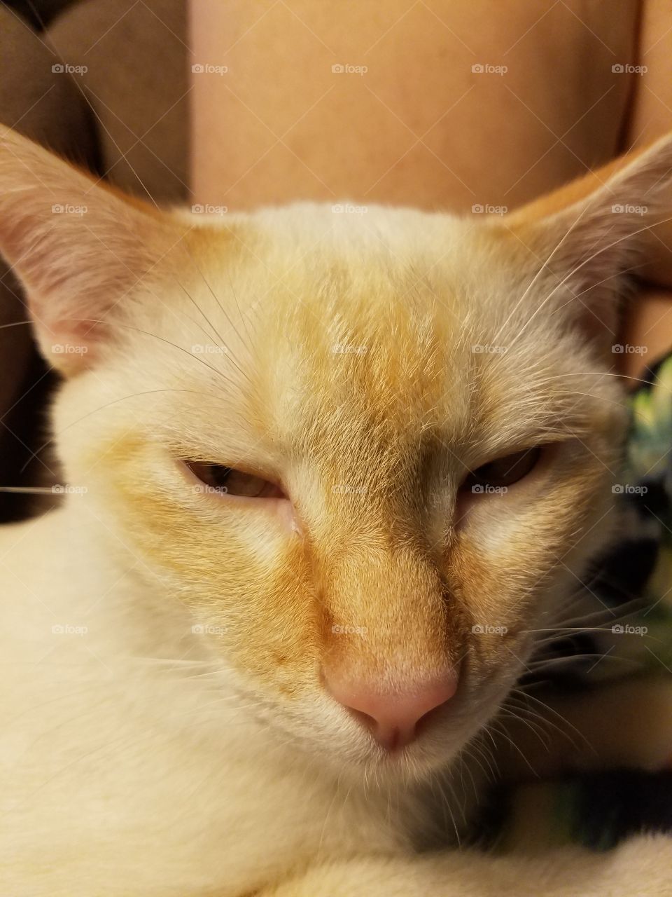 can't keep eyes open