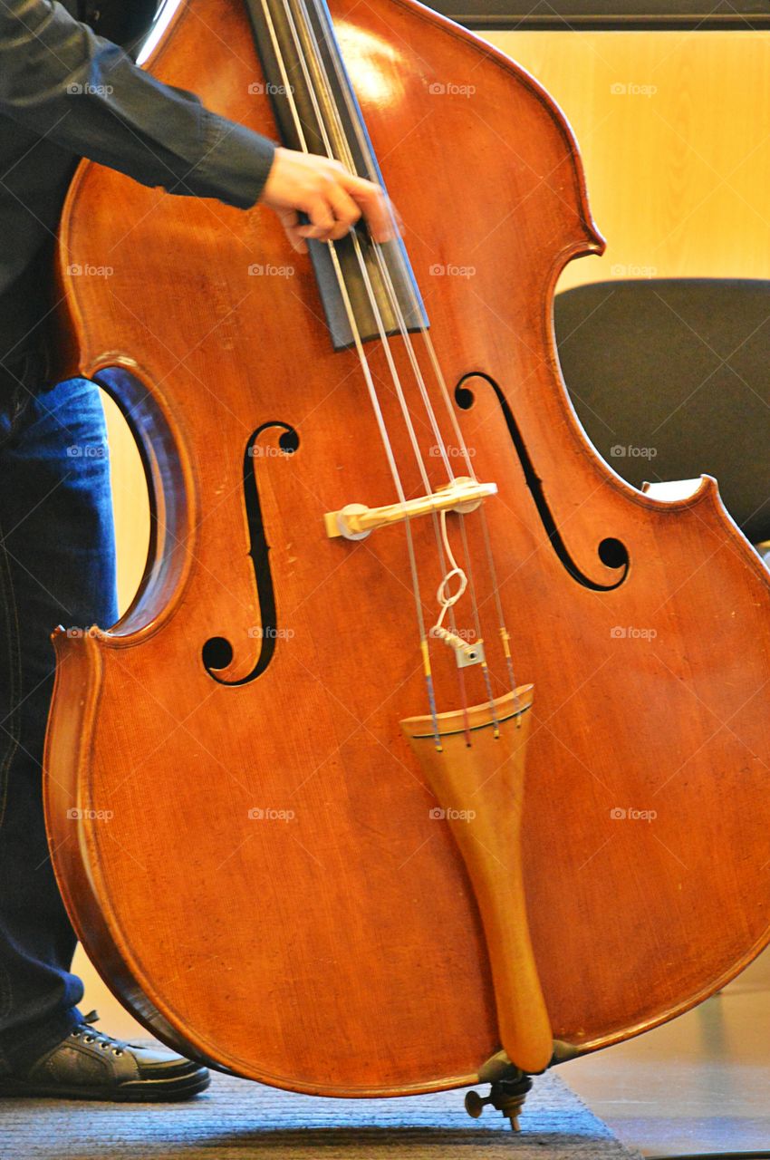 Double bass