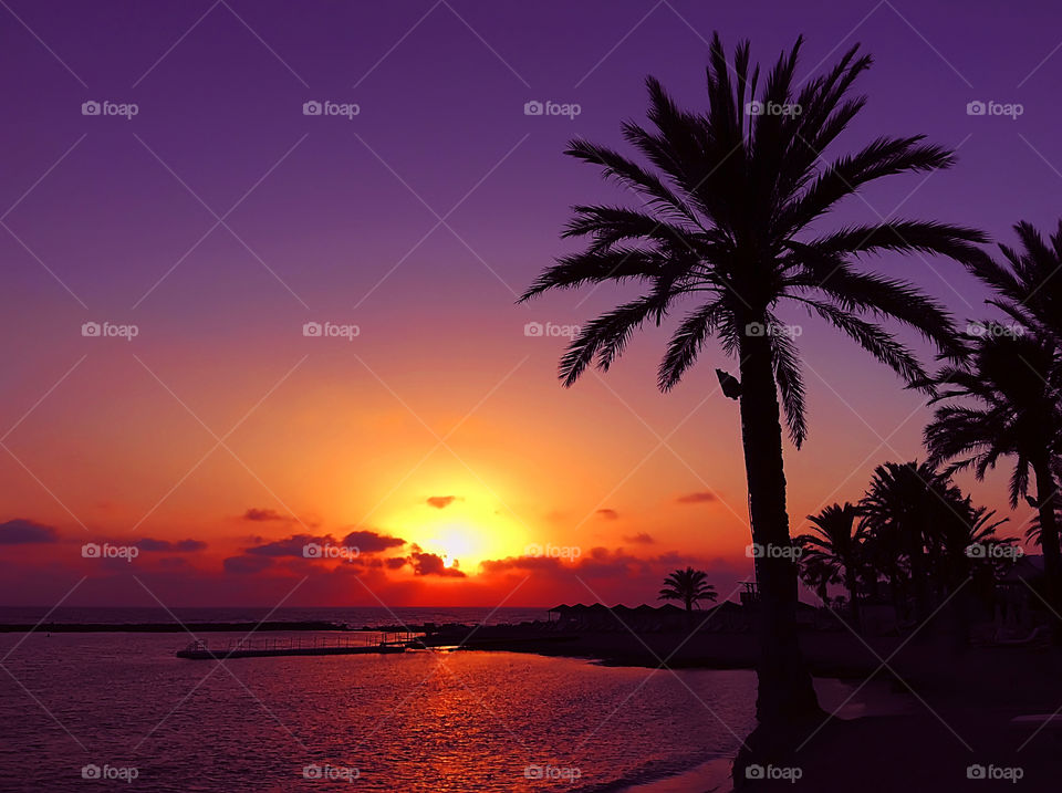 Summer sunset at the tropical beach with silhouettes of palm trees