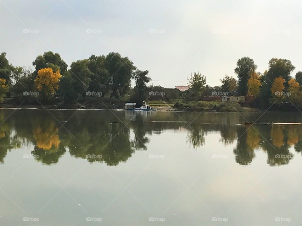 Reflection of trees in lake