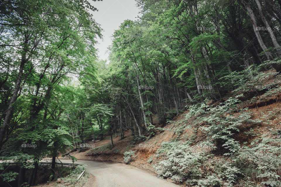 Road trip on mountain