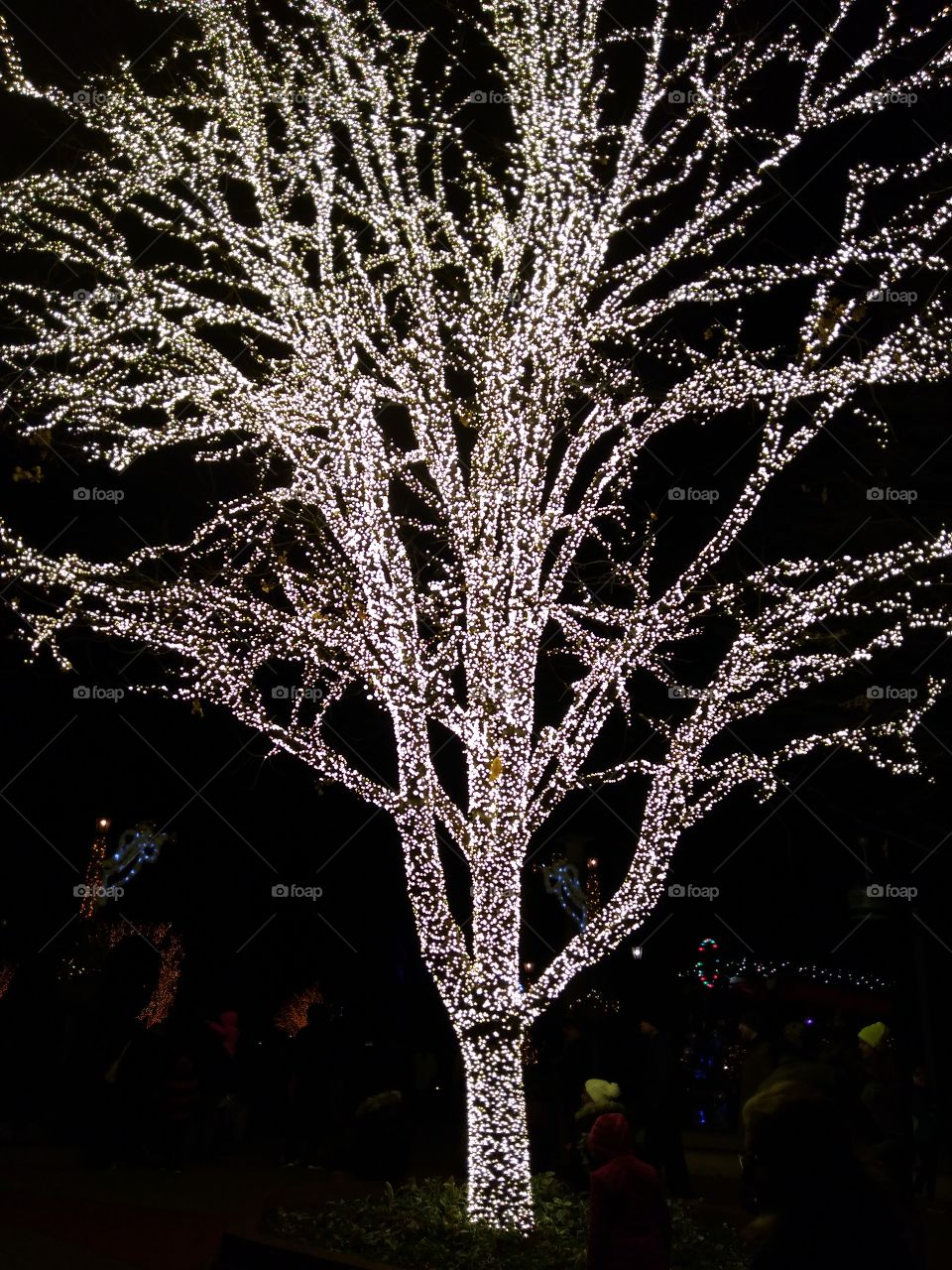 Busch Gardens Christmas Town Holiday Decorations, Williamsburg Virginia