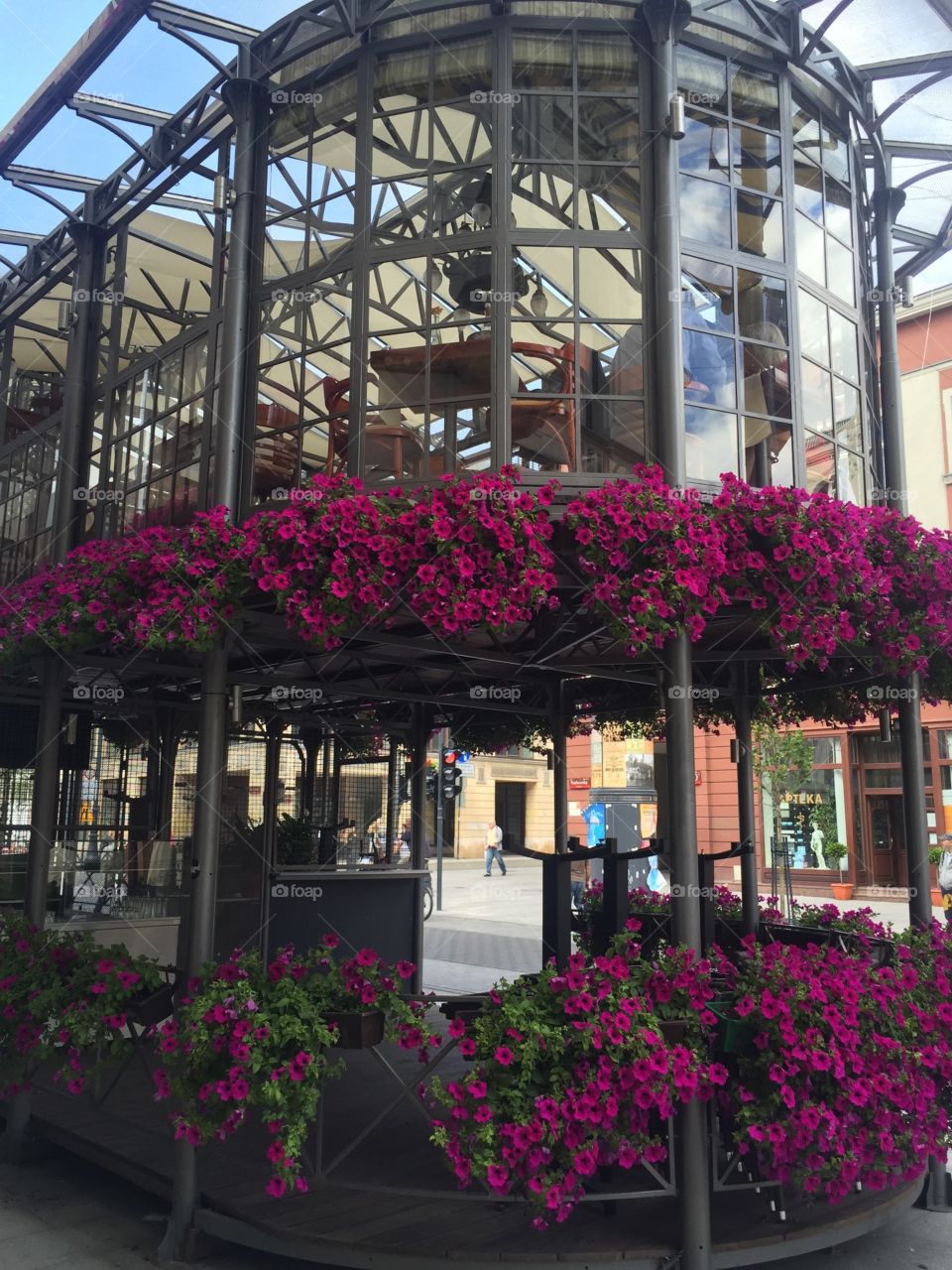 Flowers on the terrace of a coffeeshop in Lodz