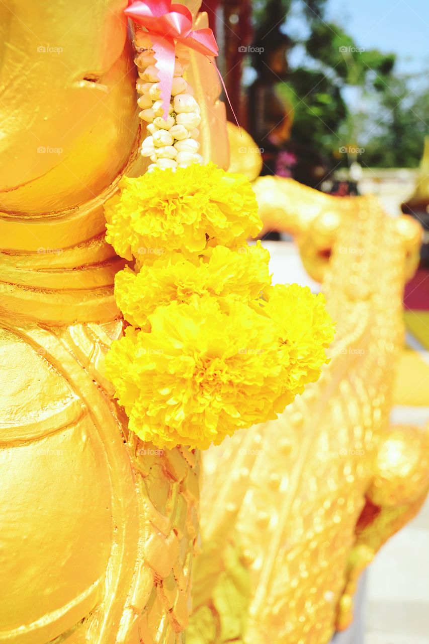 Marigolds garland worshiping the Nagas in Thai temple