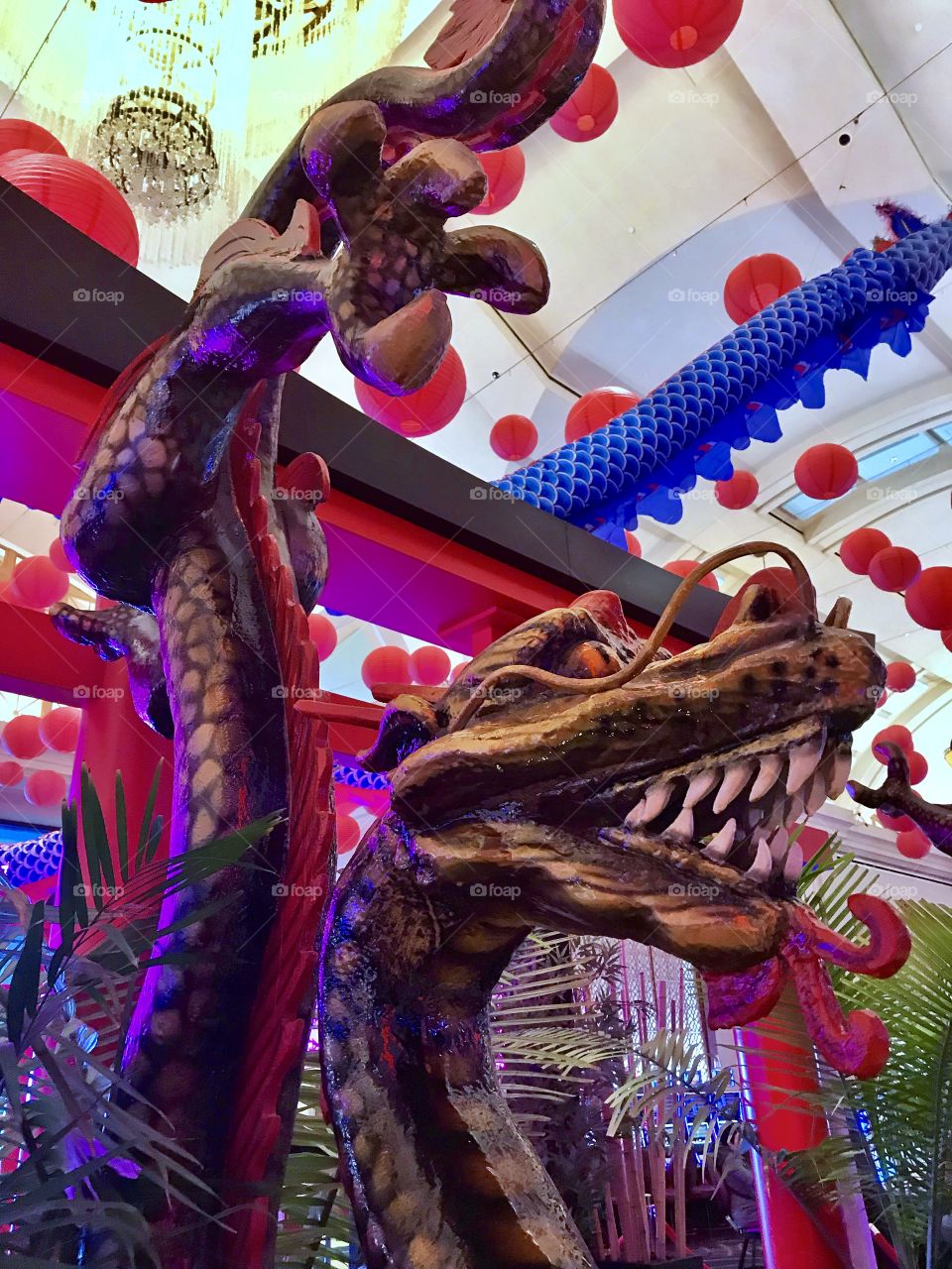 Lunar Year 2018 Year Of The Earth Dog 