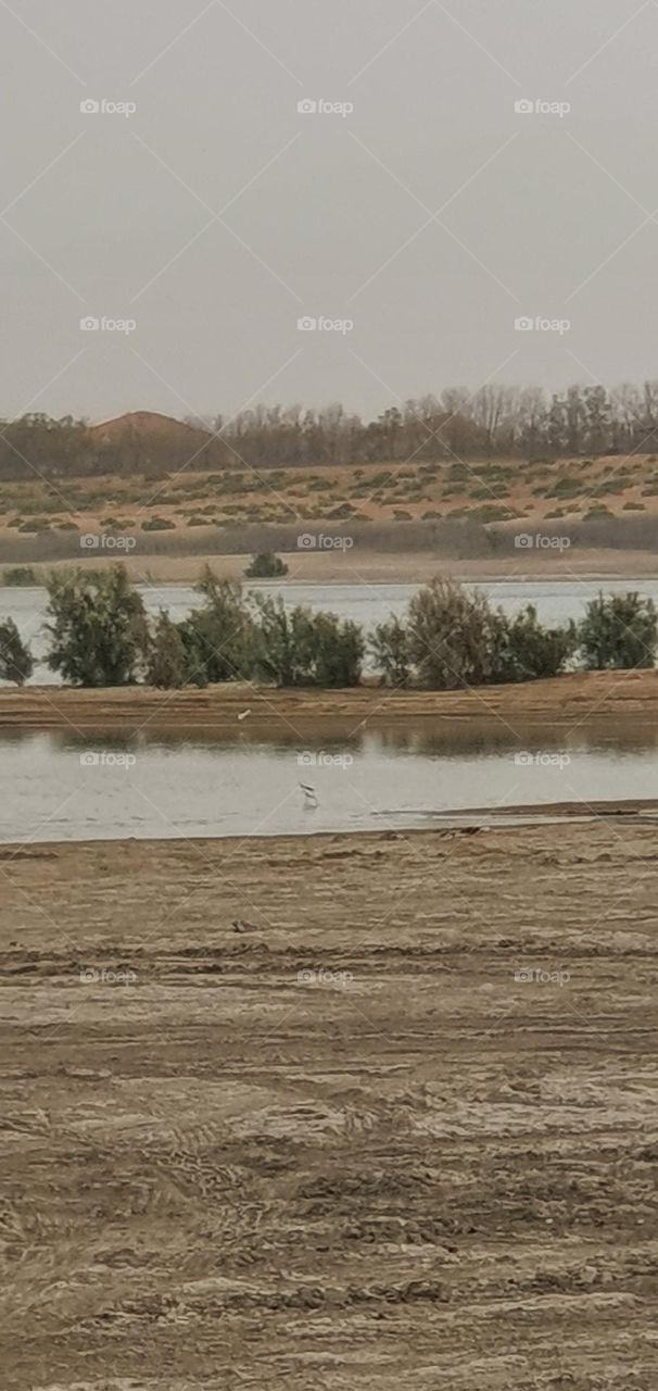 Desert and lake in UAE 🇦🇪