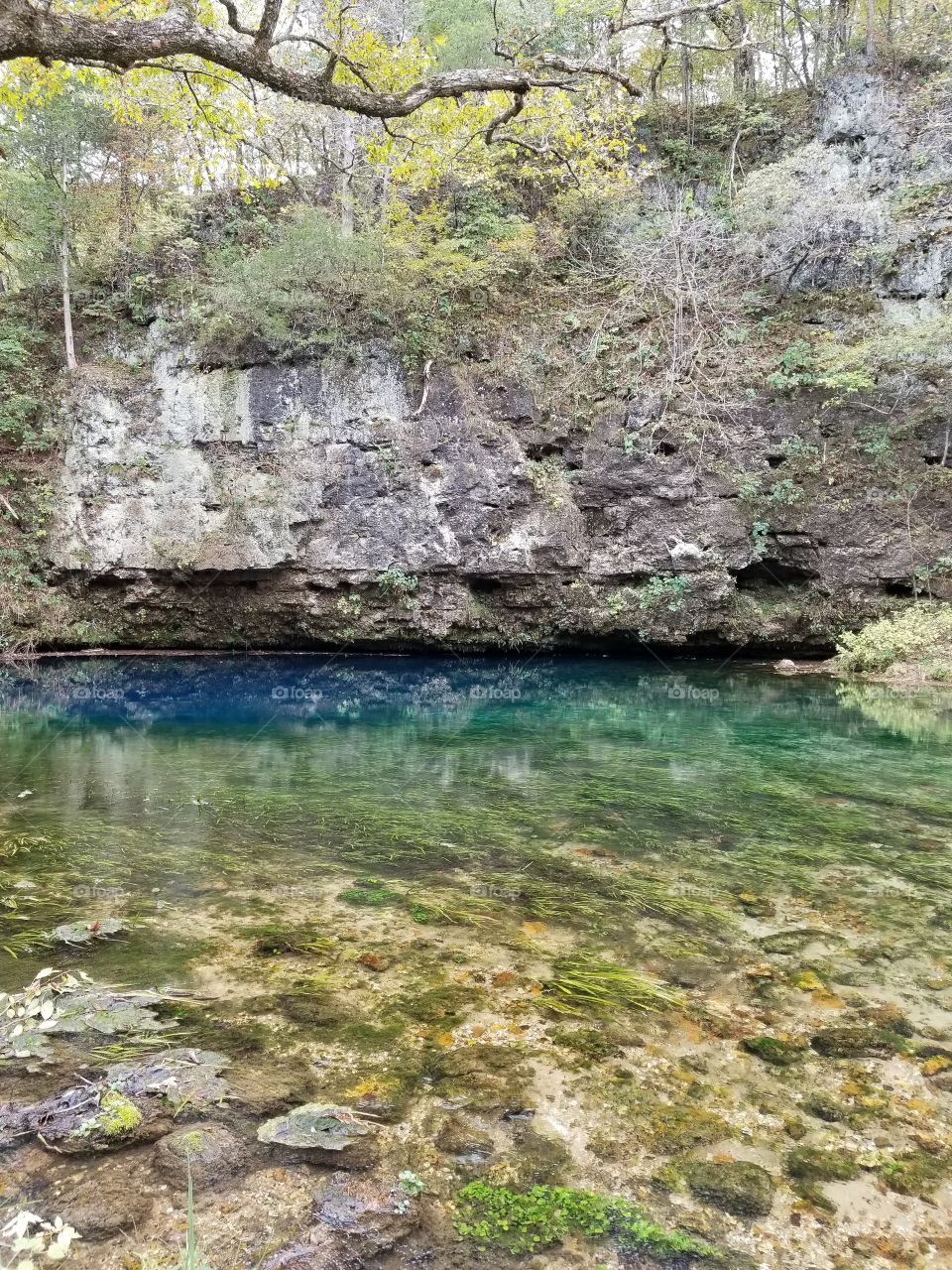 Spring Bluff