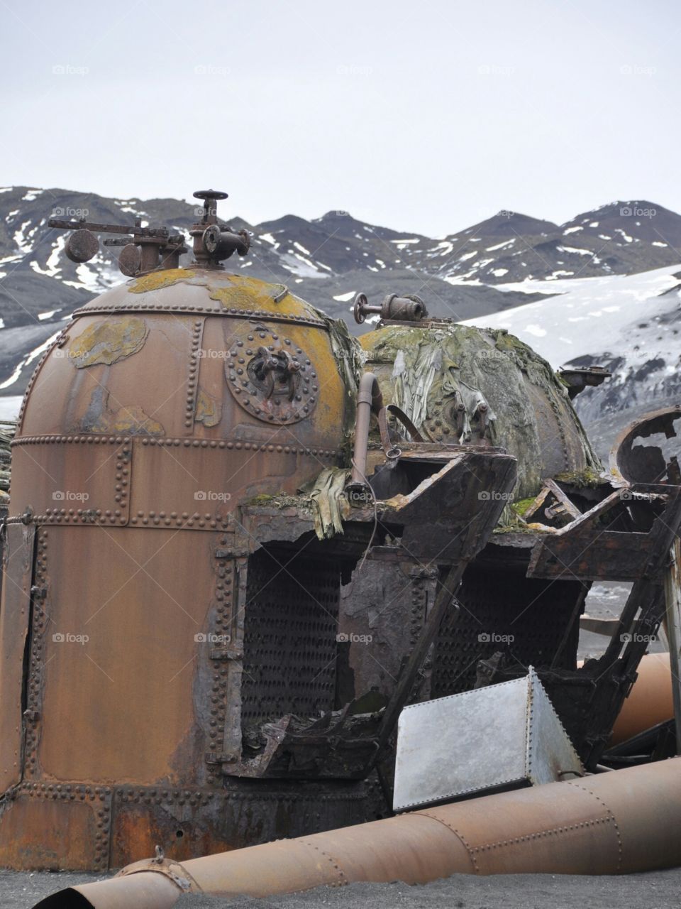 Relics From Our Saddle Whaling Past