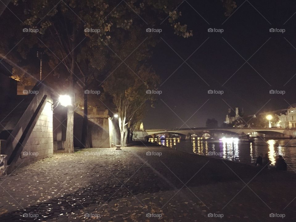 Banks of the Seine by Night, Paris