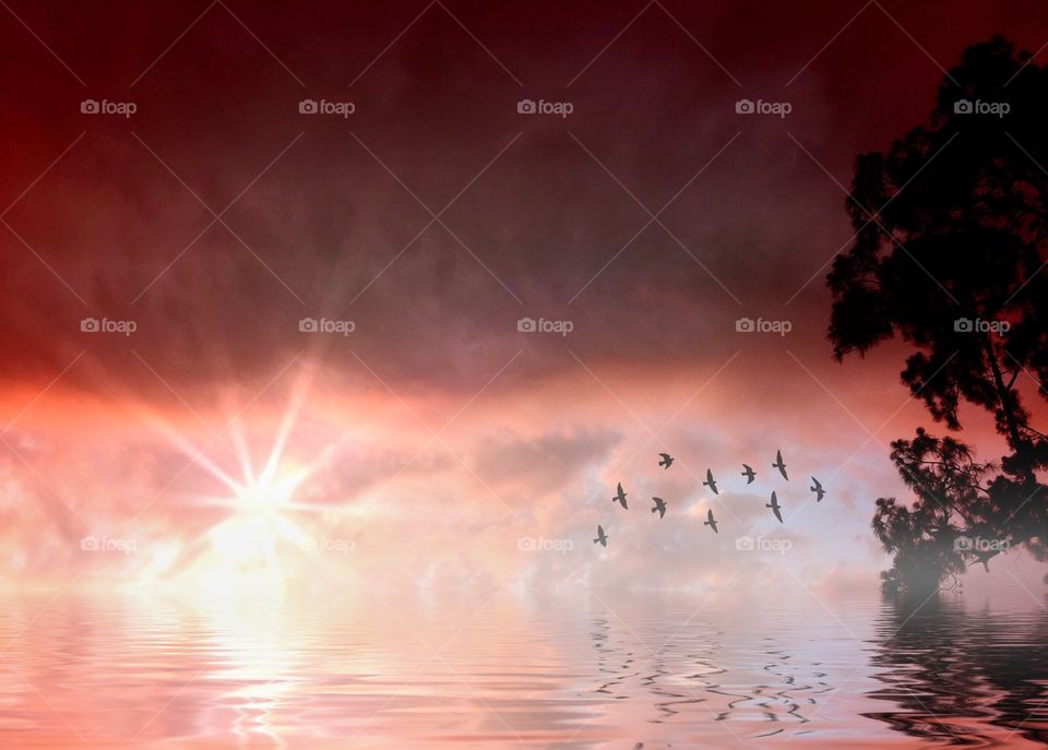 Birds over a misty lake. Birds over a misty lake