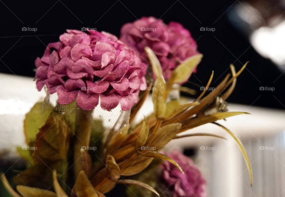 It does look real at first glance! Do you think so, too? In life, there are things that you better choose keeping the 'artificial' ones than those real and alive. Simply because they won't die and dry up; they won't wither.