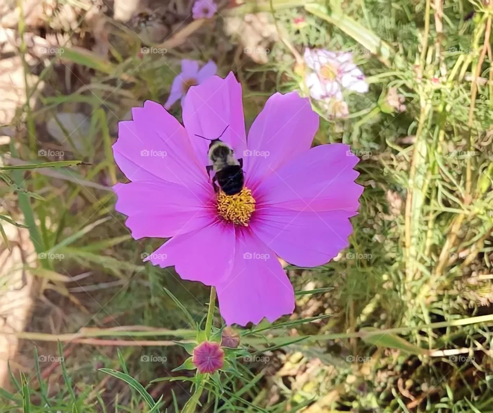 Nature’s beauty 