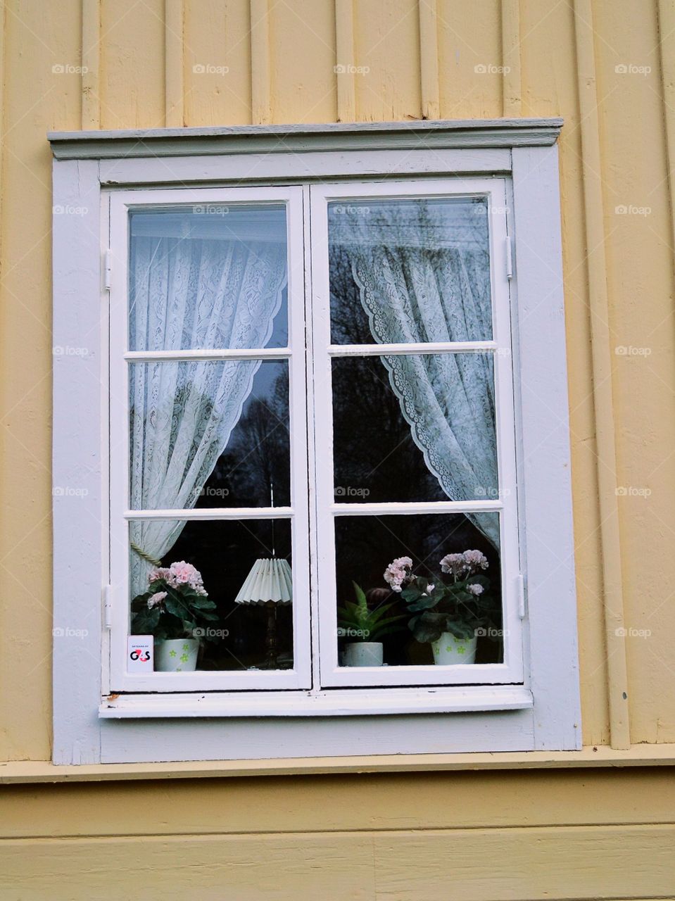 Window