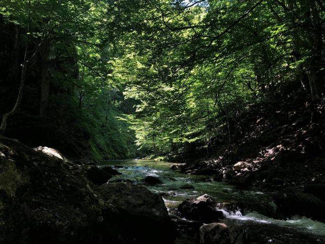 Beautiful river 