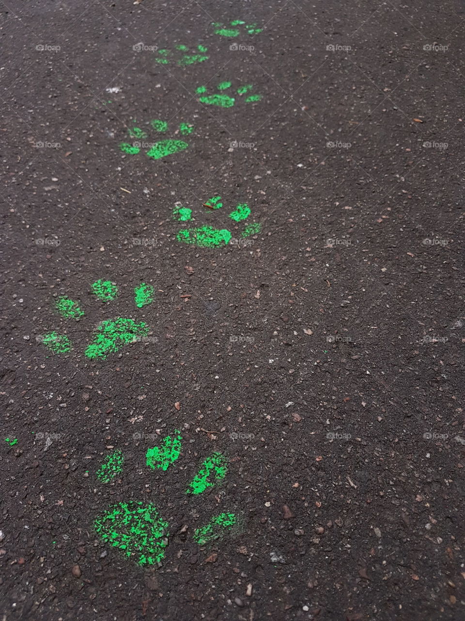 green footprints