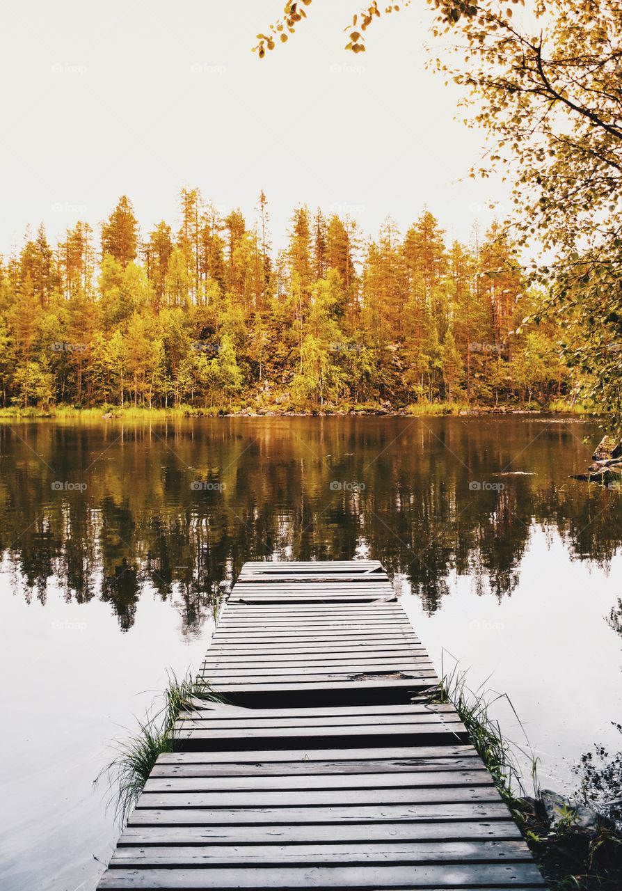 Autumn trees reflected on lake
