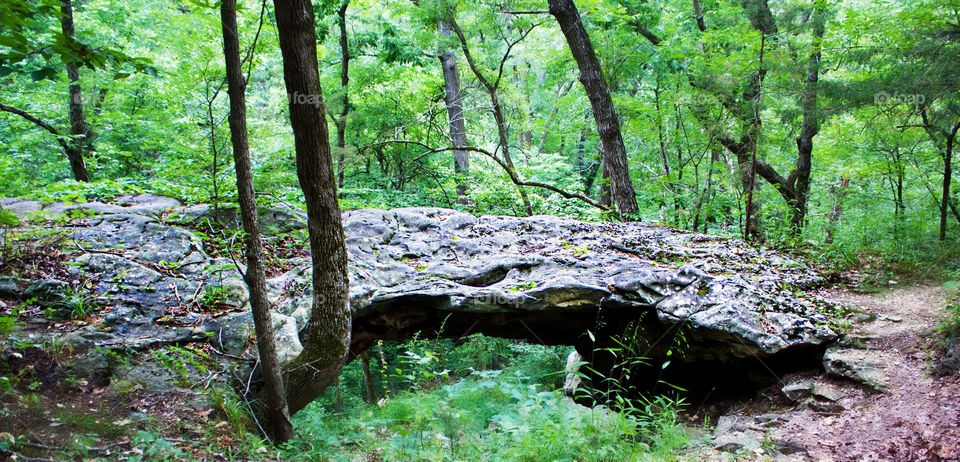 Natural bridge