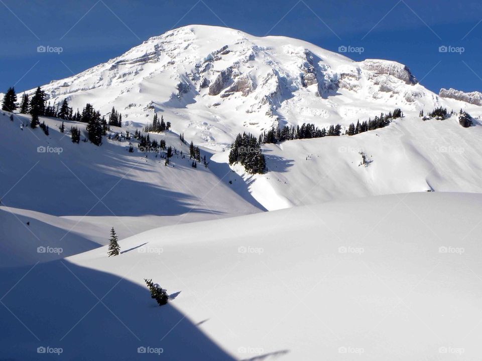 Rainier's Untouched Blanket