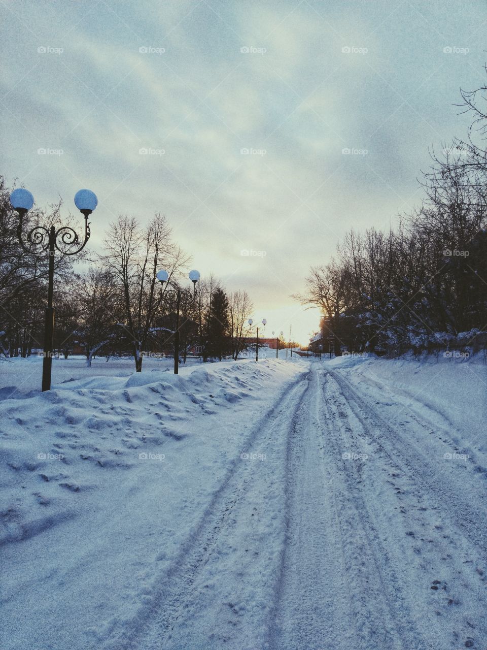 morning part 2. snow