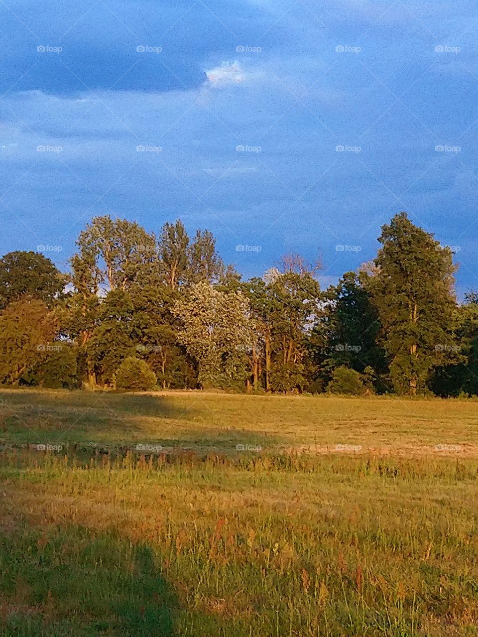 Beautiful light. Looks like painting