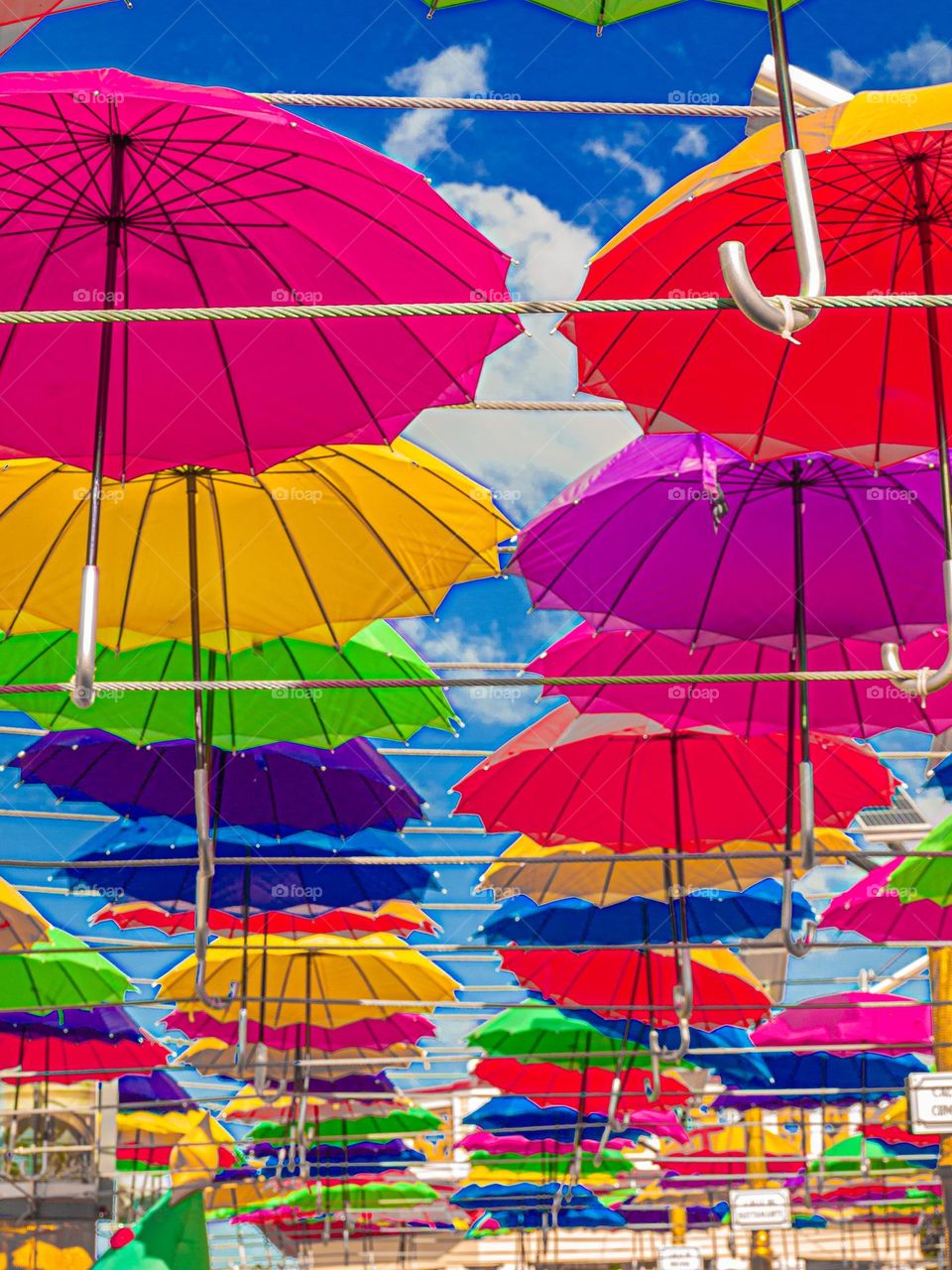 umbrella rainbow