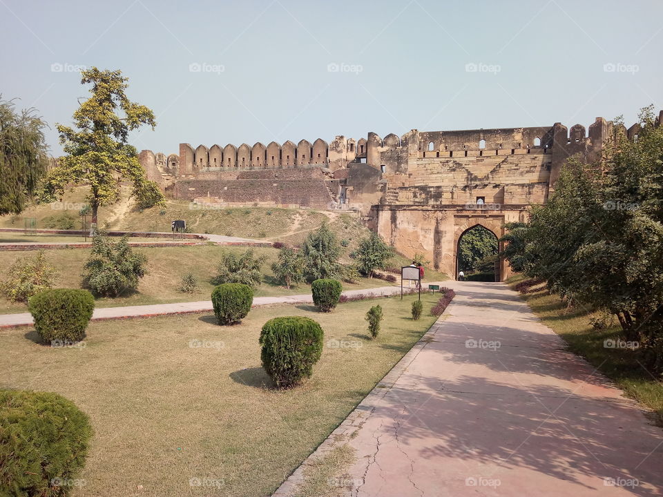 this is old shahi fort. build by firoj shah tuglak.