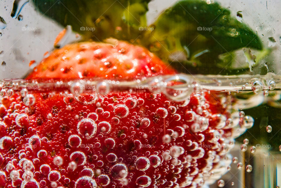 colourful berries 