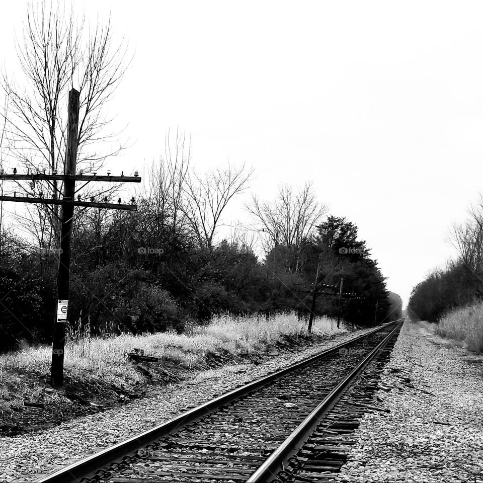 Railway, Railroad Track, Train, Locomotive, Track
