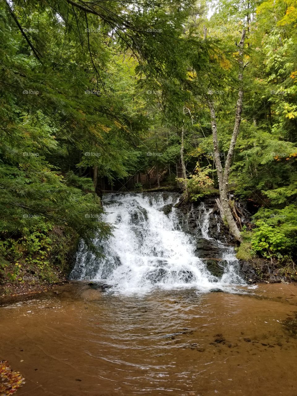 Morgan Creek, Marquette MI