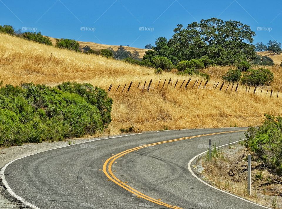 Curvy Country Road. Rural Road Winding Through California Foothills

