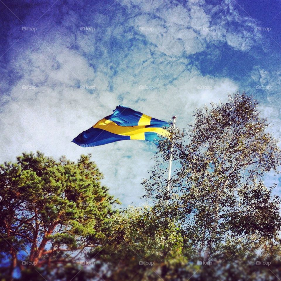 sweden summer holiday flag by lofgren