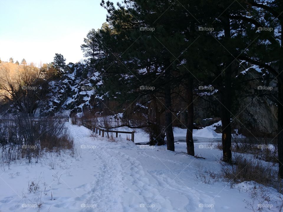 Unknown Snowy Path