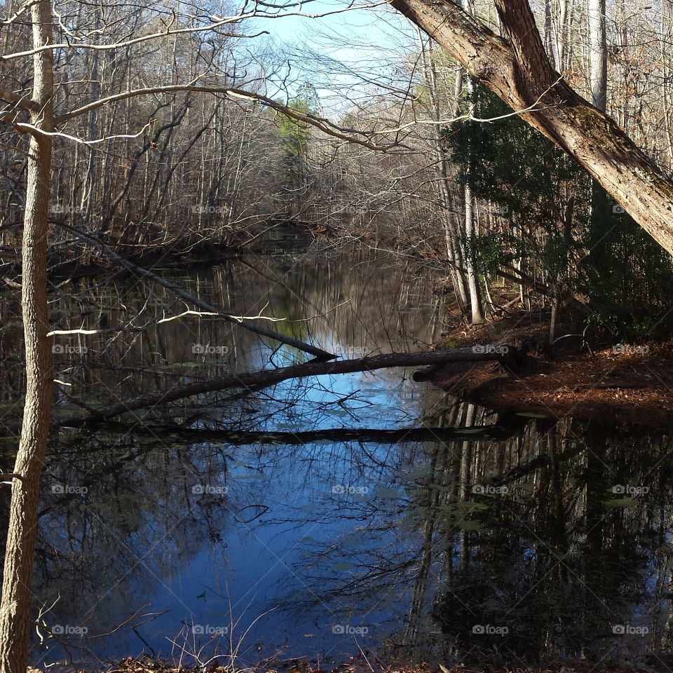 calm waters