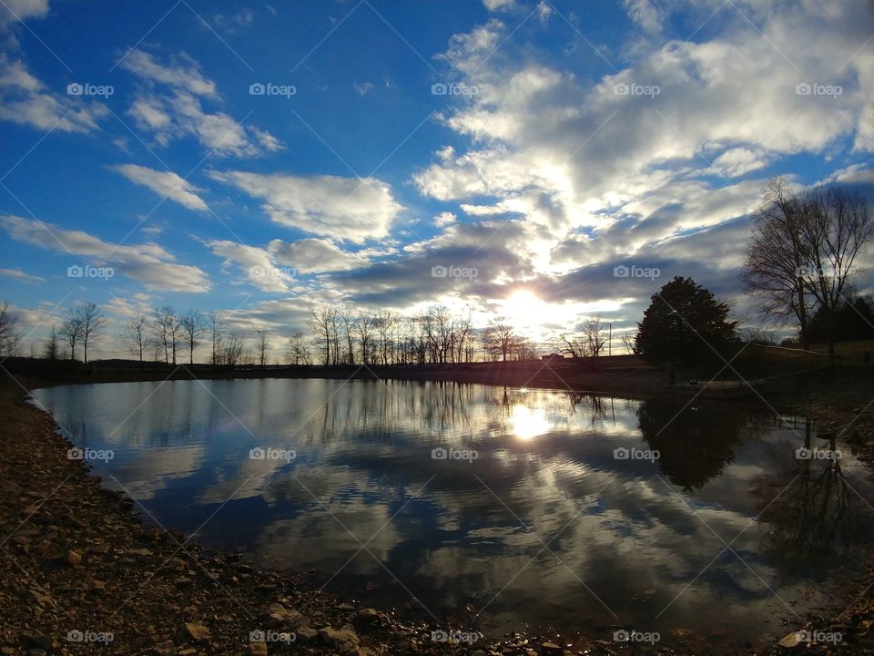 Trees and cloud reflected on water during sunrise