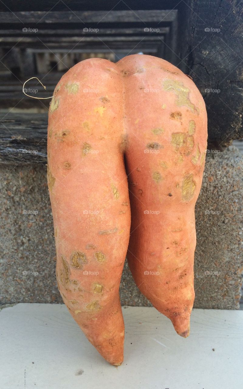 Sweet Potato Legs 
