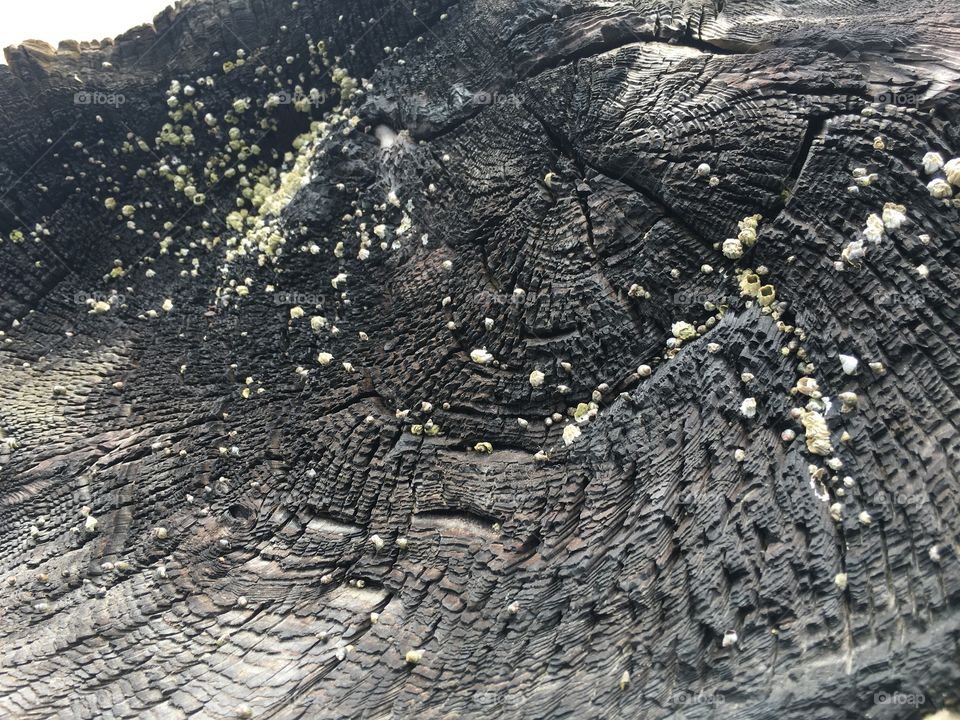 No Person, Texture, Desktop, Pattern, Abstract