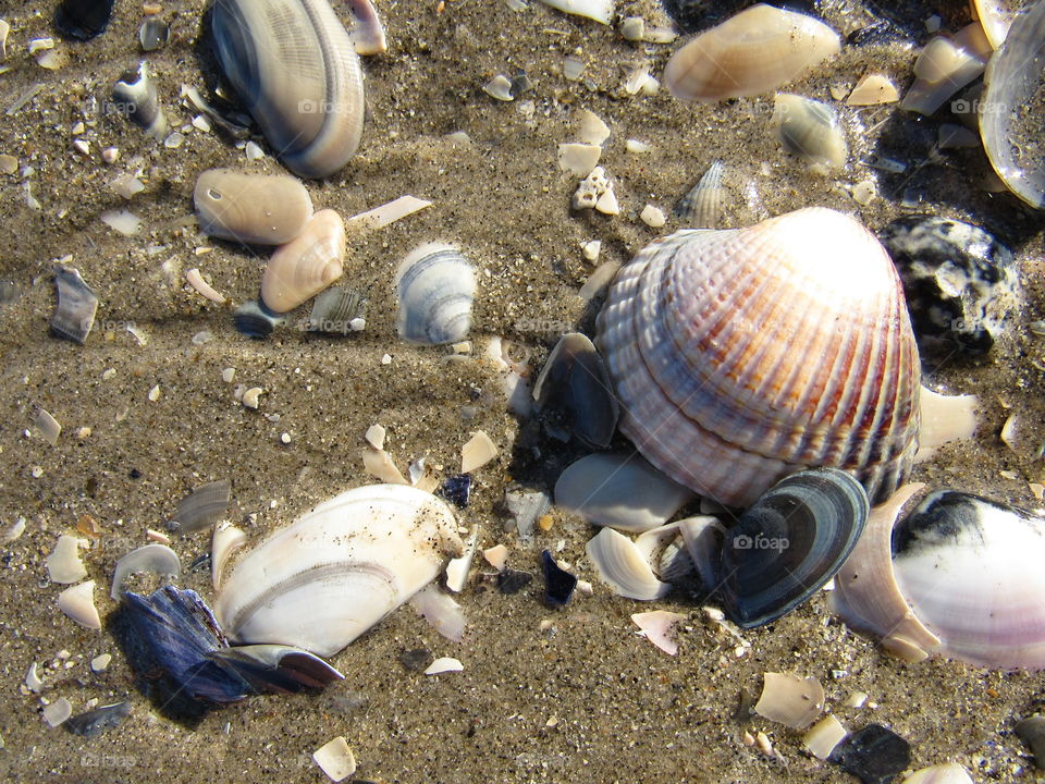 on the beach