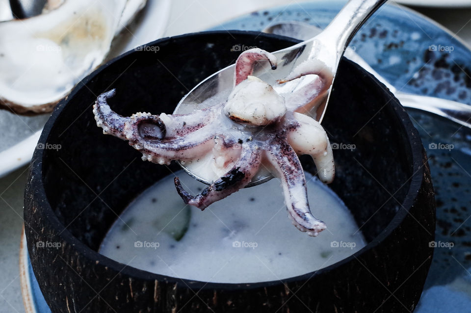 nice octopus soup