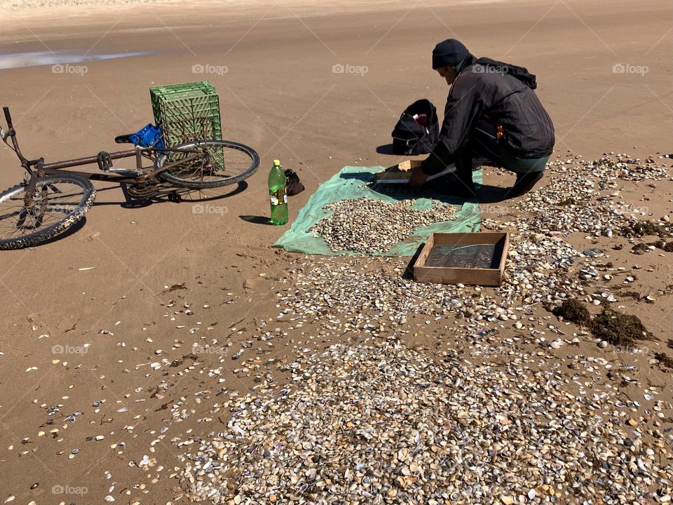 Selecting shells on beach