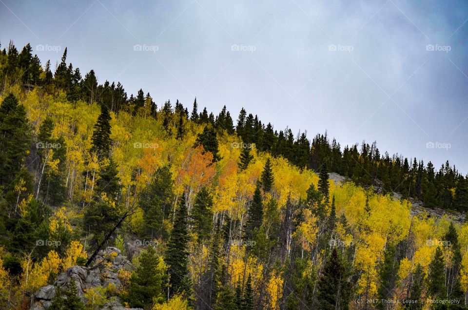 Fall in Colorado