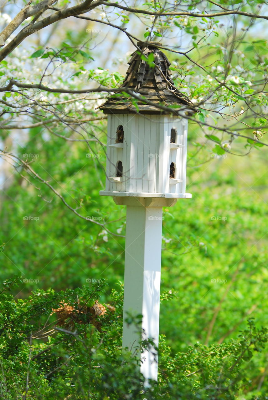 Birdhouse in the park