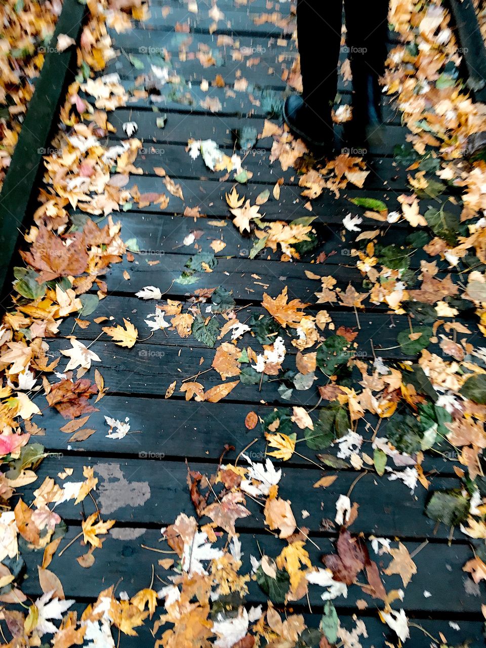 Fall Hike