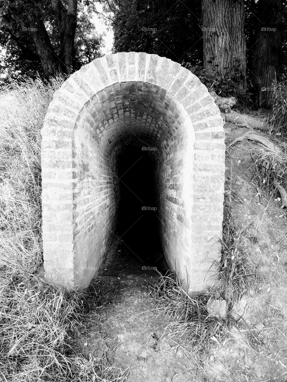 Tunnel Eingang Pforte Tür